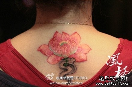 女人后背唯美好看的粉色莲花纹身图片