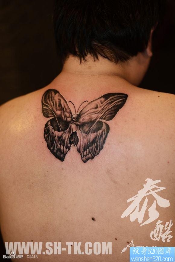 一幅男生背部骷髅蝴蝶纹身图片