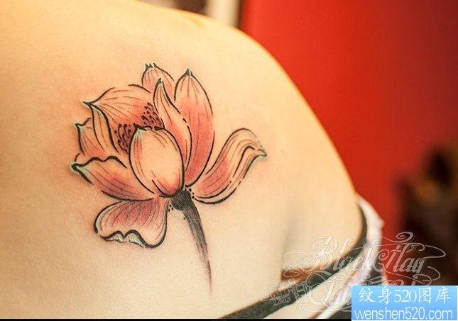 纹身520图库推荐一幅女人背部莲花纹身图片