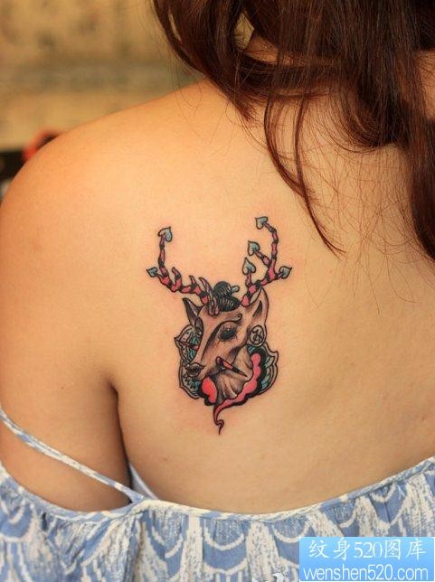 纹身520图库推荐一幅女人背部鹿纹身图片