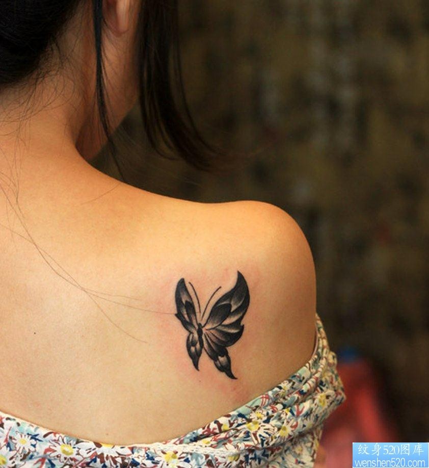 一幅女人背部蝴蝶纹身图片由纹身520图库推荐