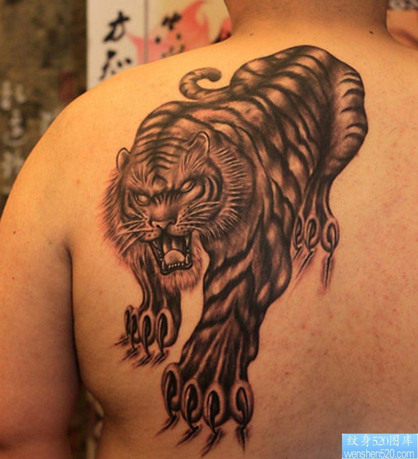 纹身520图库推荐一幅背部老虎纹身图片