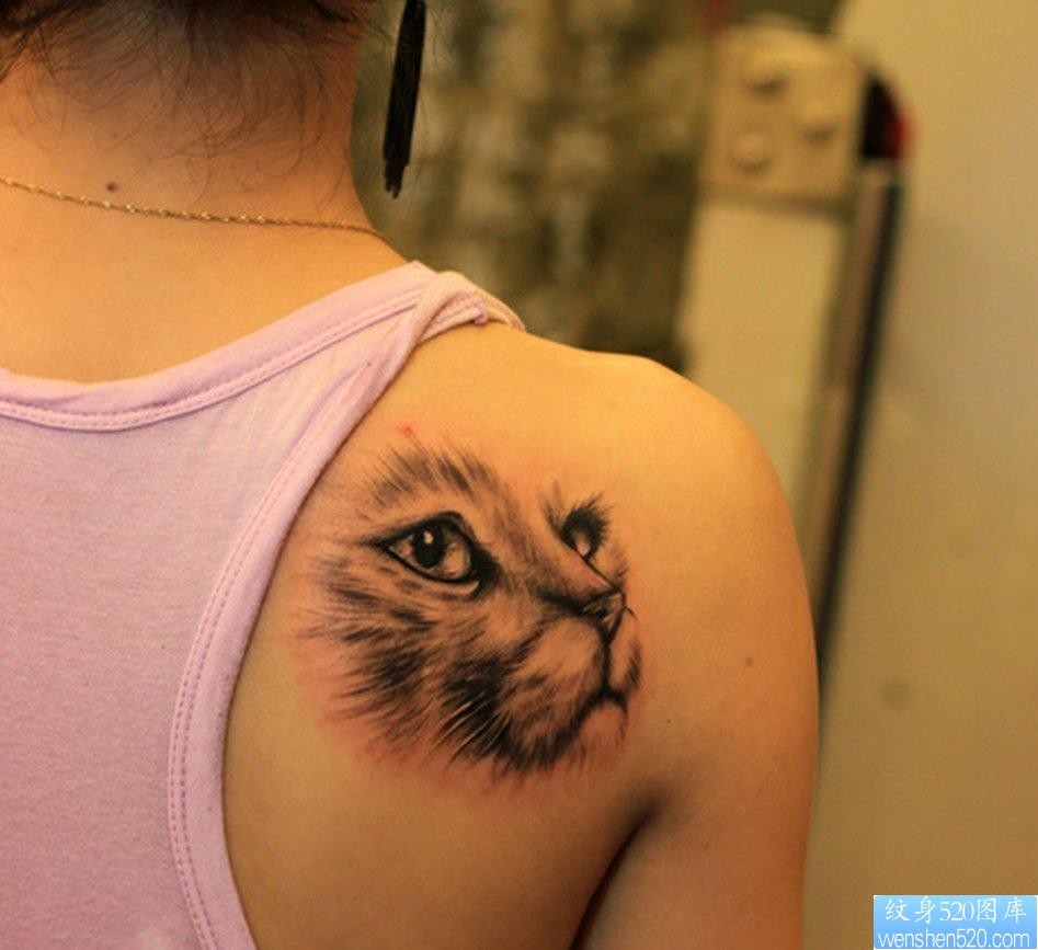 一幅背部猫咪纹身图片由纹身520图库推荐