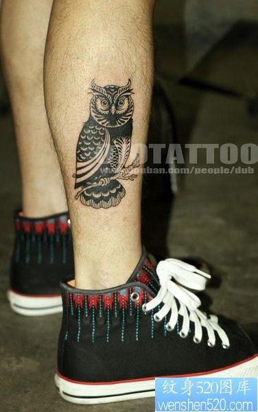小腿图腾猫头鹰纹身图片