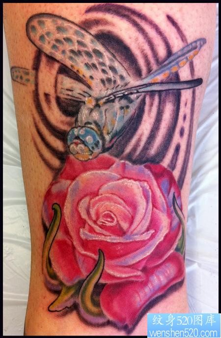 腿部纹身图片：腿部玫瑰蜻蜓纹身图片作品