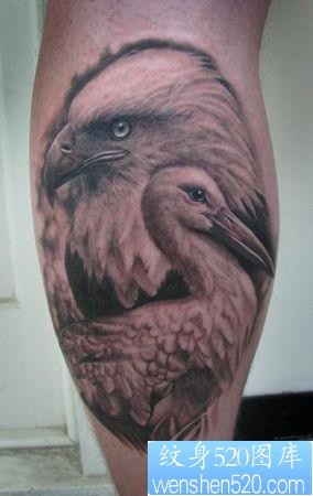 老鹰纹身图片：腿部老鹰天鹅纹身图片纹身作品