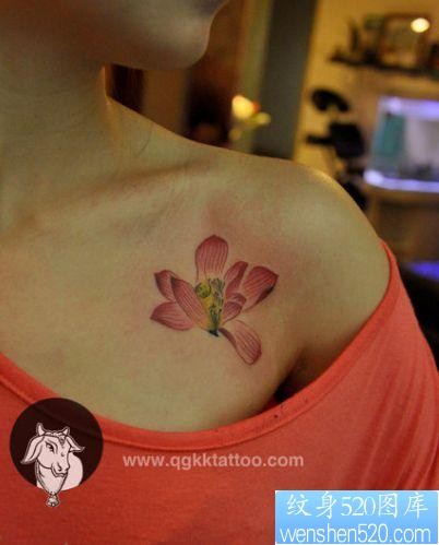 女人胸部好看的彩色莲花纹身图片