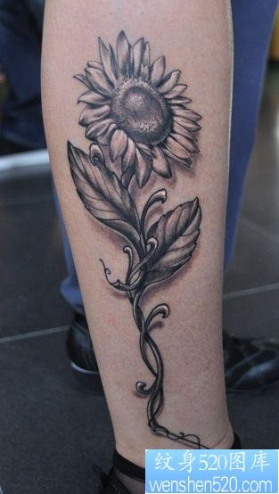 一幅腿部黑灰向日葵纹身图片