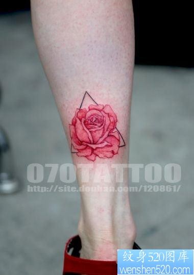 女人腿部一幅彩色玫瑰花与三角形纹身图片