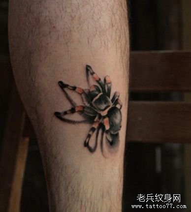 腿部一幅精美的彩色蜘蛛纹身图片