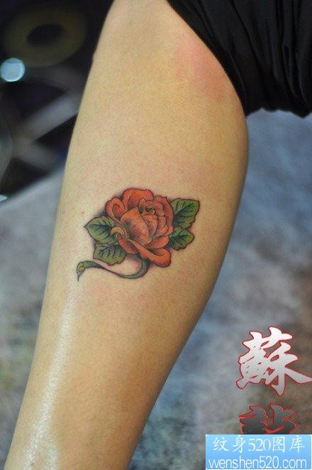 腿部漂亮的彩色玫瑰花纹身图片