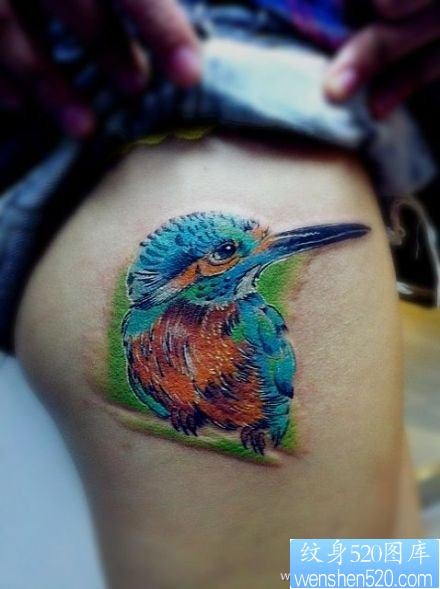 女人腿部漂亮的彩色小鸟纹身图片