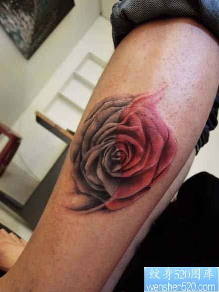 腿部漂亮的玫瑰花纹身图片