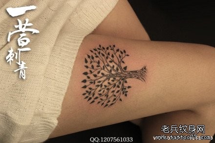 女人腿部潮流唯美的小树纹身图片