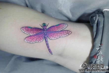 女人腿部精美漂亮的蜻蜓纹身图片