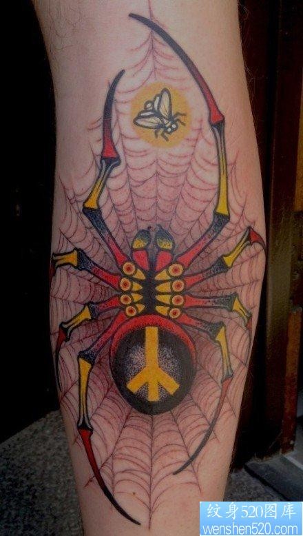 腿部超酷经典的school蜘蛛纹身图片