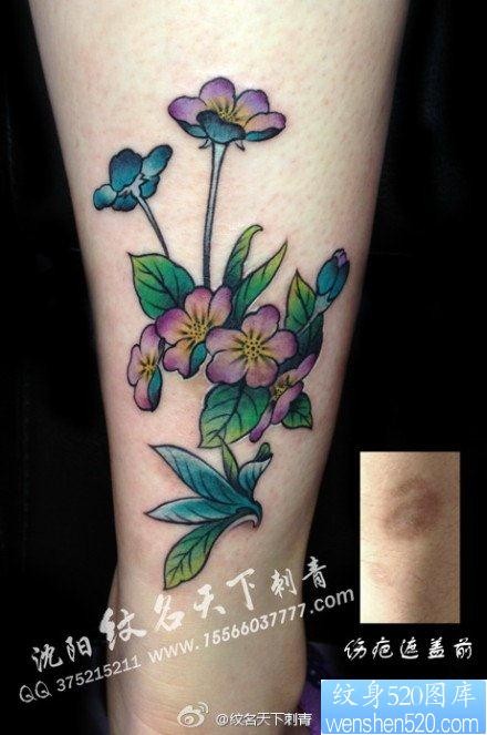 女人腿部时尚漂亮的花卉纹身图片