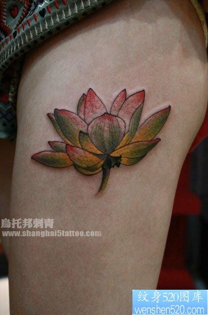 女人腿部唯美清雅的莲花纹身图片