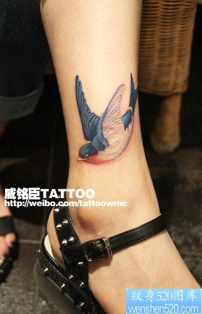 女人小腿唯美时尚的小燕子纹身图片