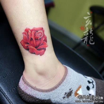 女人腿部好看精美的红玫瑰纹身图片