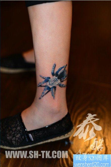腿部潮流很帅的一幅蜘蛛纹身图片