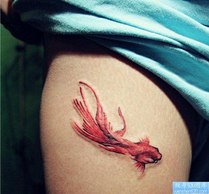 一幅腿部彩色金鱼纹身图片由纹身520图库推荐