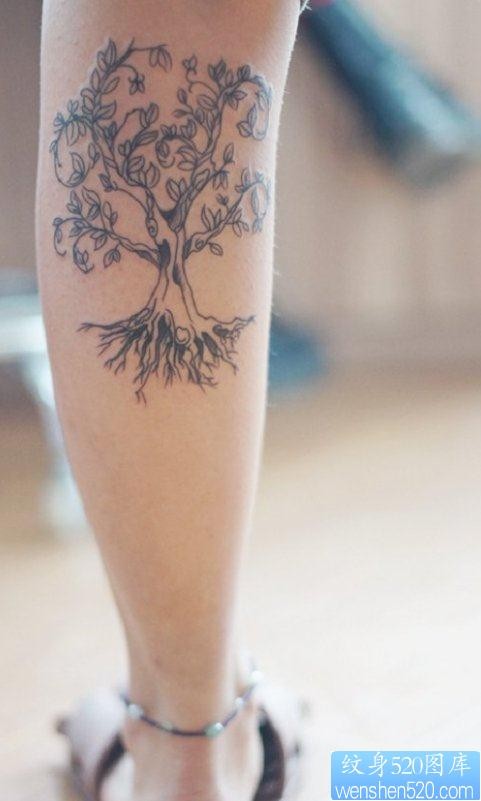 一幅女人腿部树文身图片由纹身520图库推荐