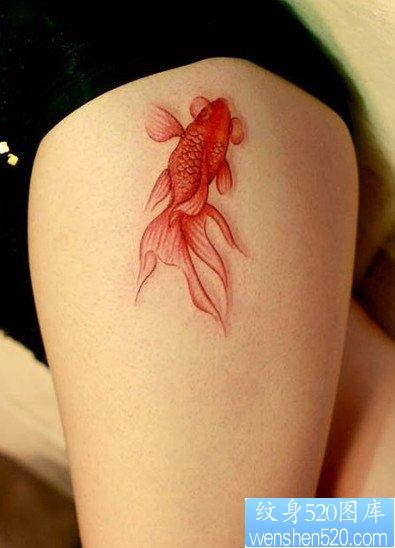 腿部彩色金鱼纹身图片由纹身520图库推荐