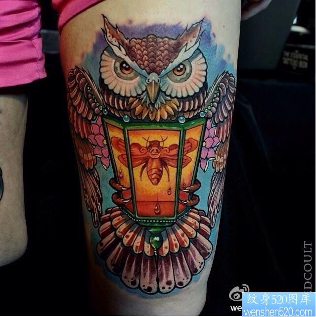 一幅女人腿部彩色school猫头鹰纹身图片由纹身网推荐