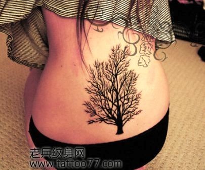 美女腰部图腾树纹身图片