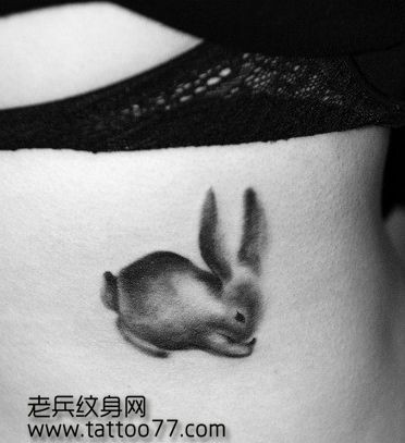 美女腰部可爱的小白兔纹身图片