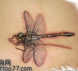 腰部唯美的蜻蜓纹身图片