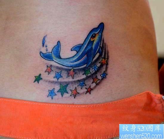 美女腰部好看的海豚五角星纹身图片