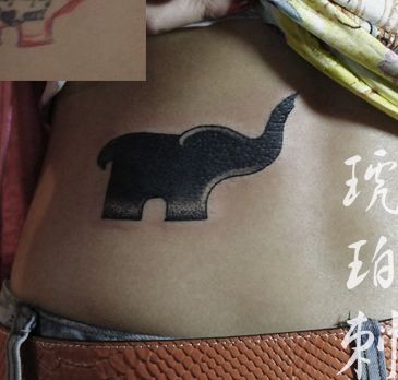 女孩子腰部图腾大象纹身图片
