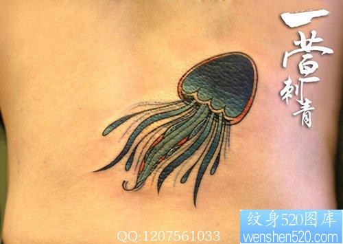 腰部一幅流行的水母纹身图片