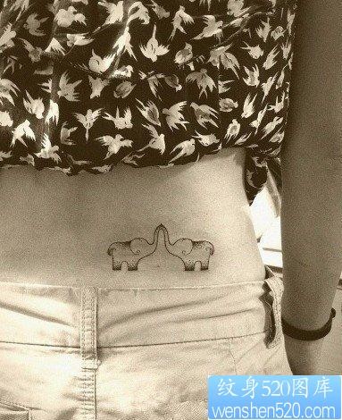 女孩子腰部可爱小象纹身图片