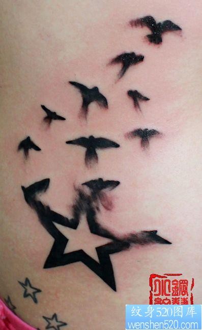 腰部一幅五角星化小鸟纹身图片