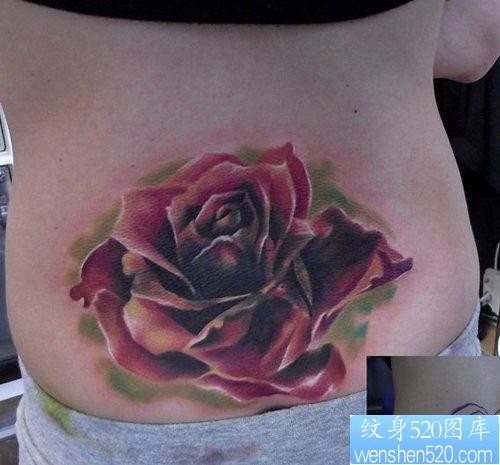 女人腰部潮流经典的欧美彩色玫瑰花纹身图片