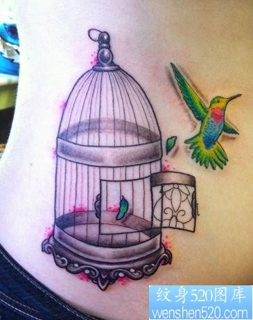 女孩子腰部小蜂鸟与鸟笼纹身图片