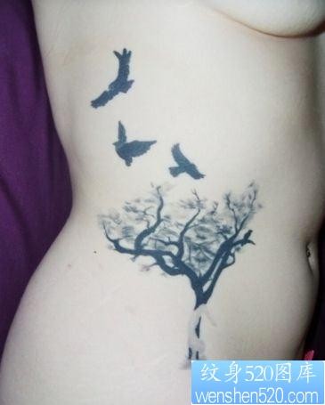 一幅女儿侧腰小树与小鸟纹身图片