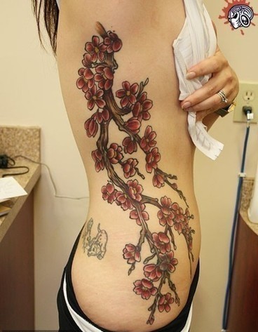 美女腰部唯美漂亮的梅花纹身图片