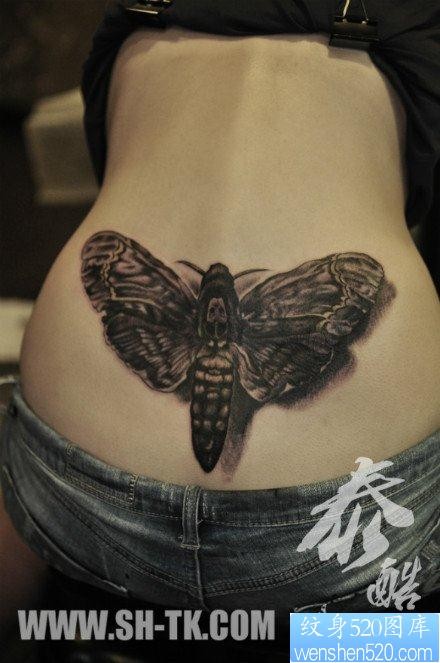 美女腰部经典很酷的飞蛾纹身图片