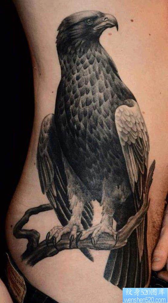 侧腰上的一幅老鹰纹身图片