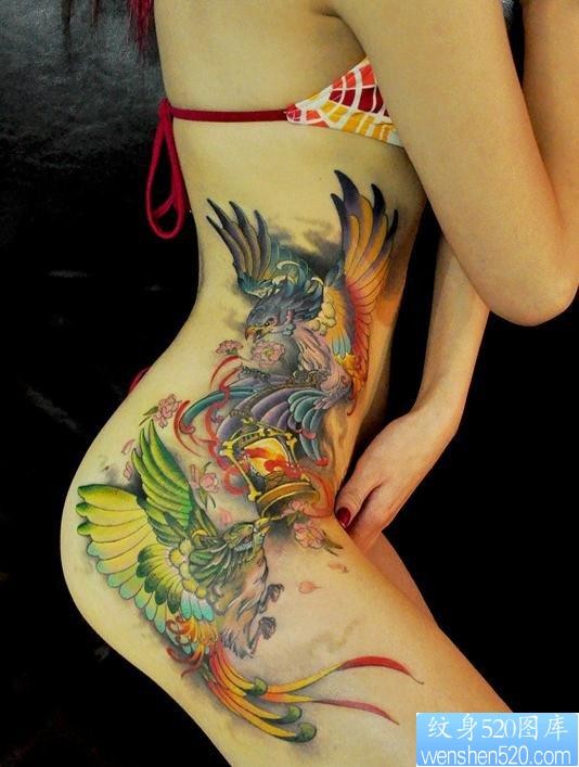 一幅性感的凤凰纹身图片由纹身520图库推荐