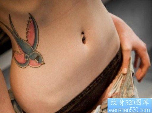 女人彩色腰部燕子纹身图片由纹身520图库推荐