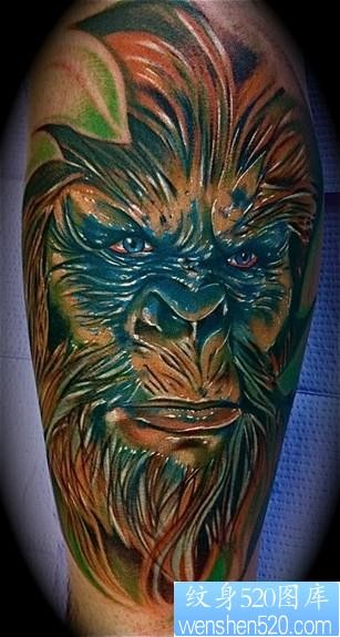国外一幅手臂彩色猩猩纹身图片作品