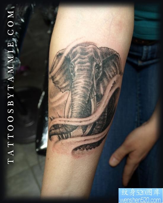 手部素描大象纹身图片