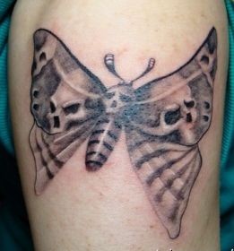 手臂纹身图片：手臂另类蝴蝶骷髅纹身图片纹身作品