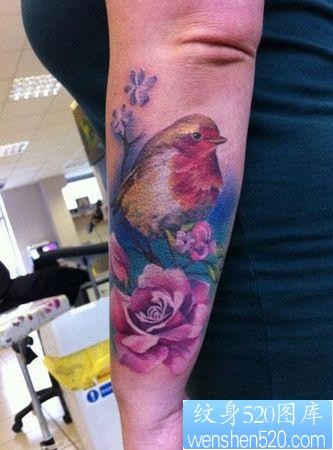 手臂彩色小鸟喜鹊花卉纹身