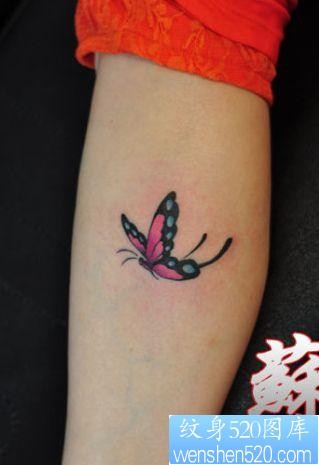 女孩子腿部精美漂亮的蝴蝶纹身图片